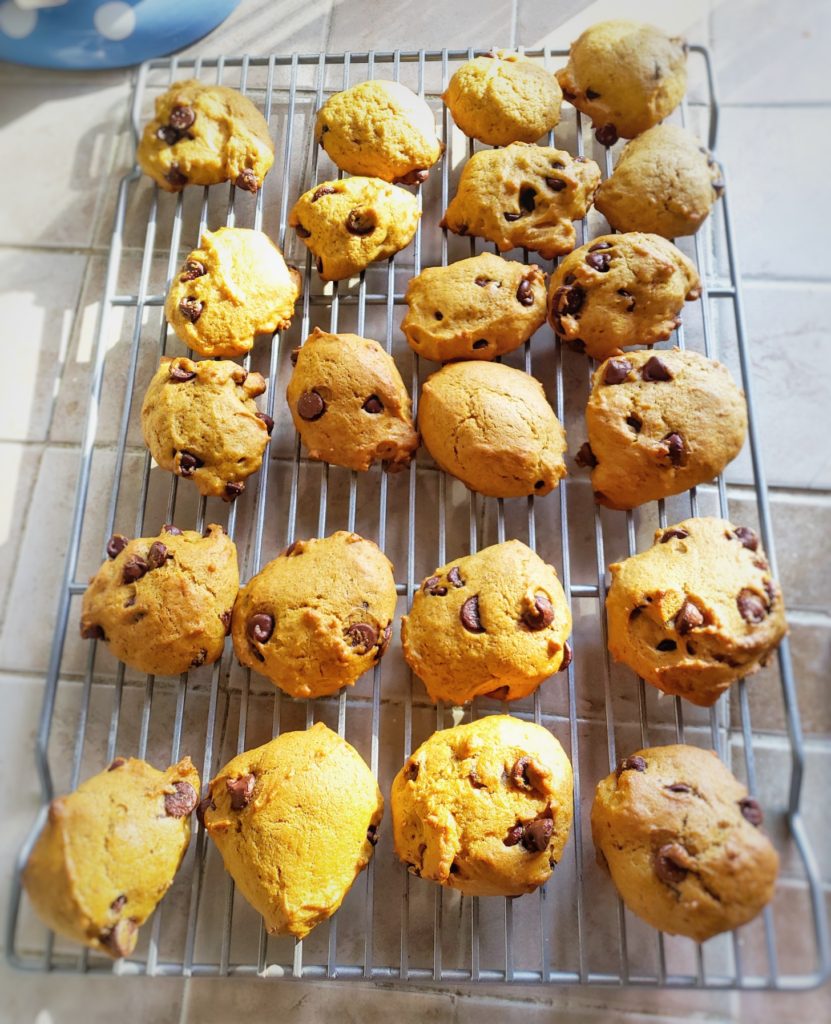 Pumpkin Chocolate Chip Cookies From Scratch