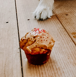 Peanut Butter Pupcakes